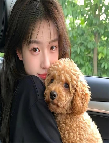 新宿事件完整版高清在线观看_极限挑战第6季免费观看_亚瑟视频在线播放高清完整视频